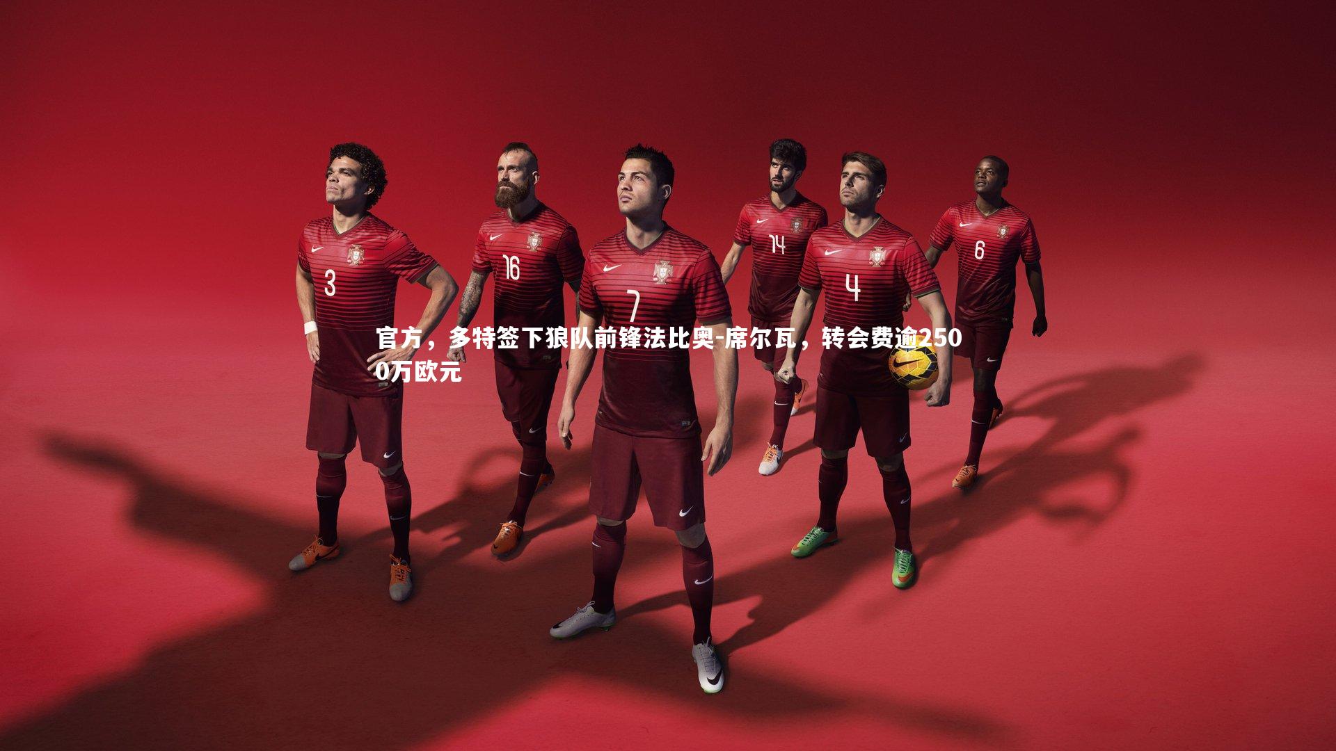 官方，多特签下狼队前锋法比奥-席尔瓦，转会费逾2500万欧元